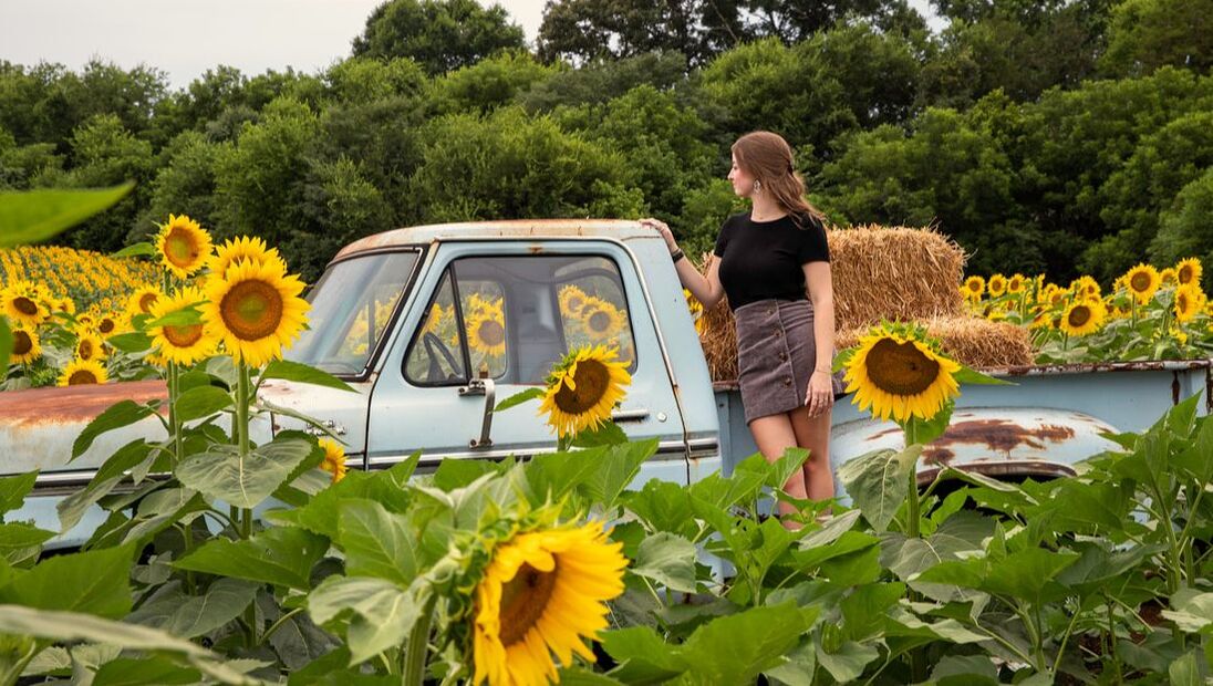 Picture of Girl modeling in sunflower field