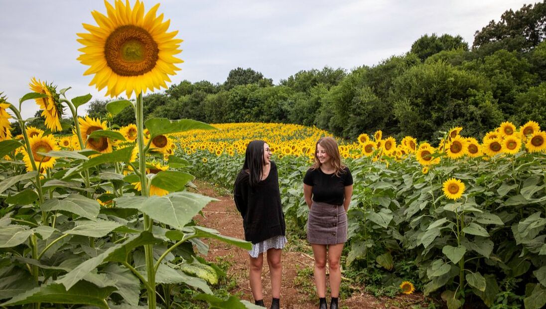 Picture of Girls modeling in a flower field