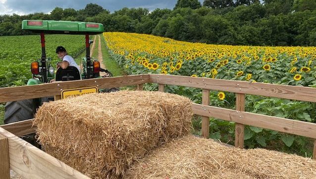 Picture of Farm Hayride
